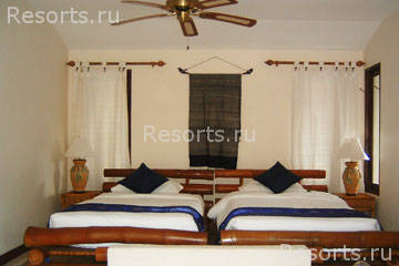 Coconut Paradise 41